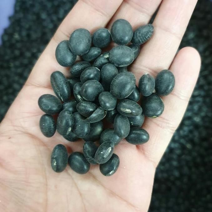 

Kacang Hitam Kering Super 1 Kilo / Black Turtle Beans Fresh Import TPC