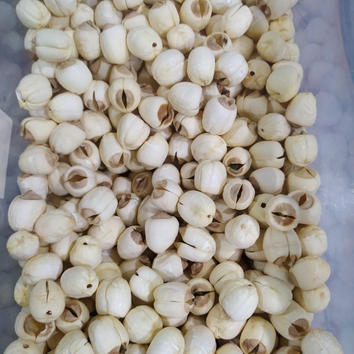 

500 gram lien ci / biji teratai