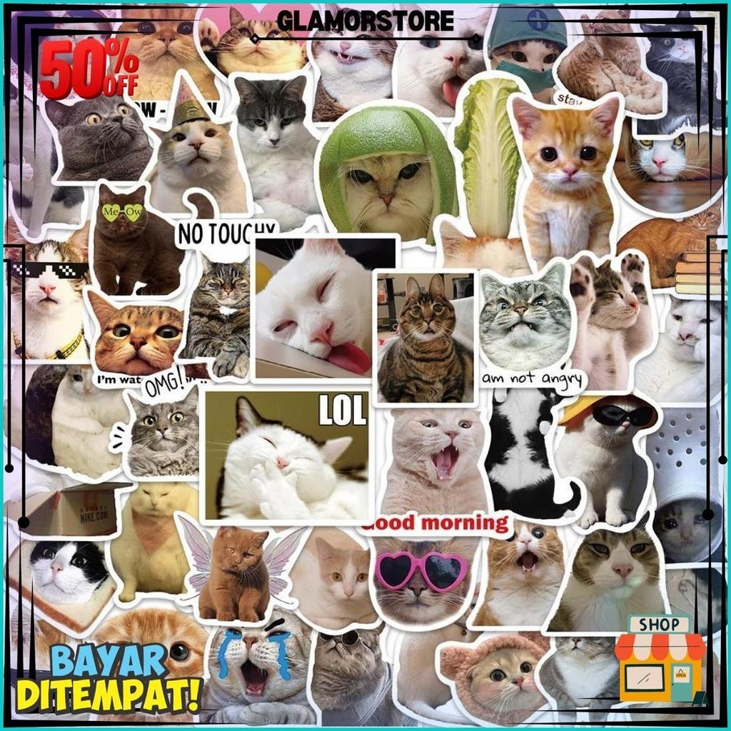 

[Haru] 50 Pcs Stiker Pack Korean Decor Minimalist Botanical Garden Anti Air Dekor Laptop Koper Mobil Motor Sepeda Gitar Diary Notebook Journal Gratis Ongkir