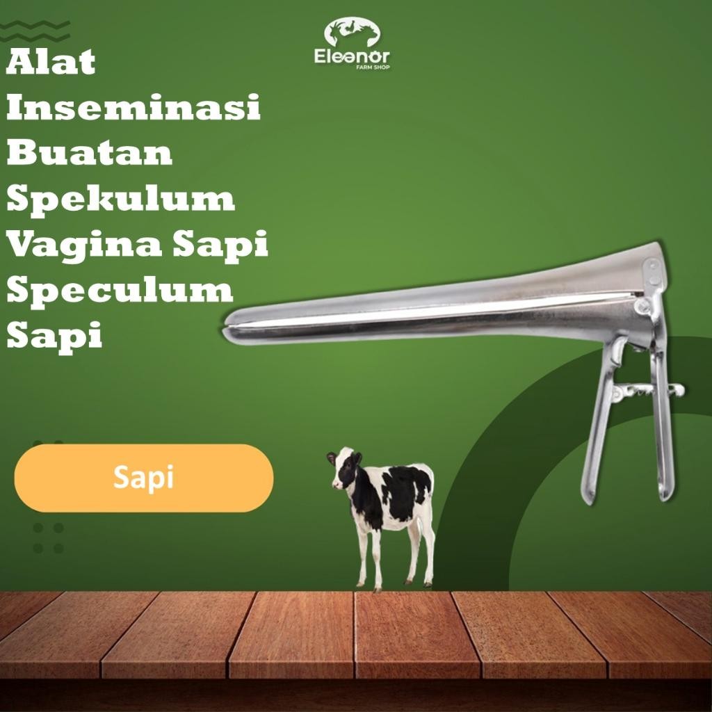 Spekulum  Alat Inseminasi Buatan Vagina Dilator Sapi Speculum Sapi Farm