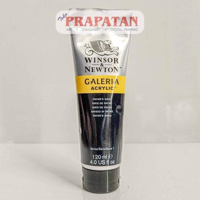 

Cat Akrilik Winsor Galeria 120ml | Galeria Acrylic PART 2