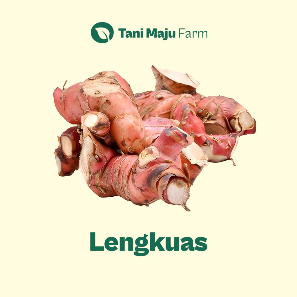 

Lengkuas Laos Fresh Organik (250 gram) - Rempah