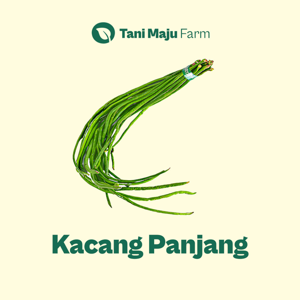 

Kacang Panjang Long Beans Fresh Organik (250 gram) - Sayuran