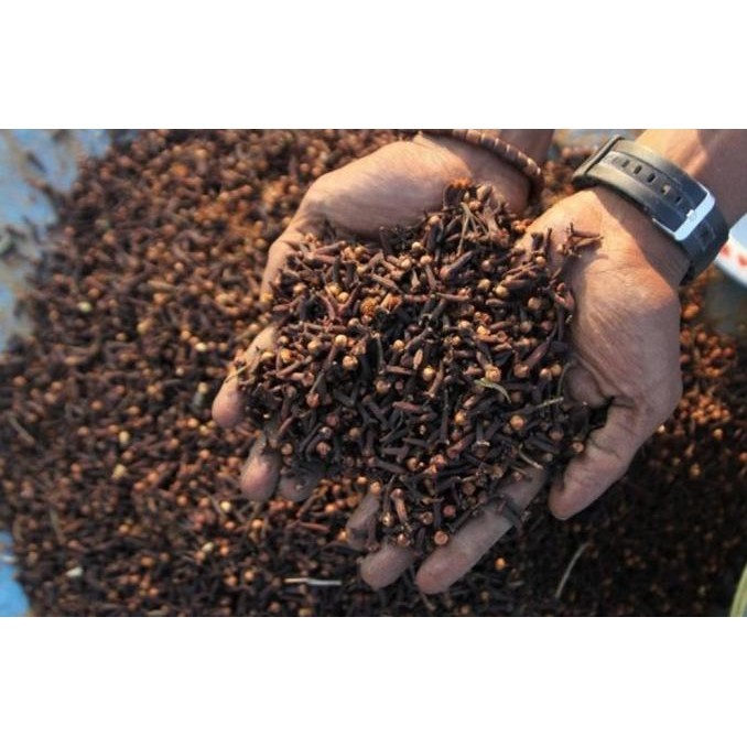 

Bunga Cengkeh Utuh Kering Whole Dried Cloves 1 Kg Biji Cengkih Clove Gemita.Shopstore