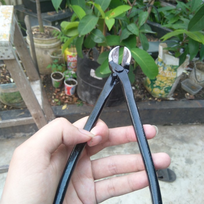 Catok Bonsai Miring Lokal 25 Cm Catok Miring