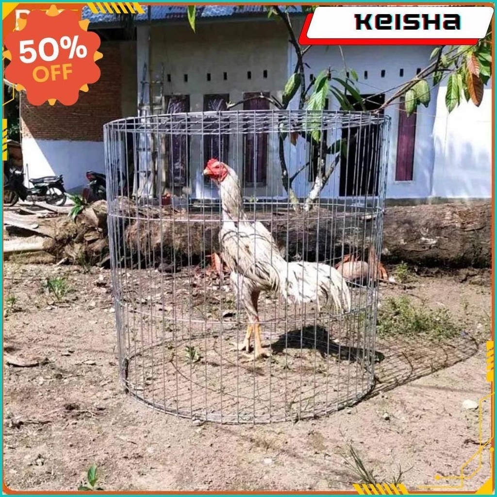 Kandang Bulat Besi Galvanis Anti Karat Untuk Ayam Jago Bangkok | Kurungan Lipat Lingkaran Bisa Bongk