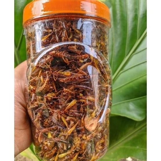 

FRESH!! BELALANG GORENG TOPLES SOSIS GURIH MS54