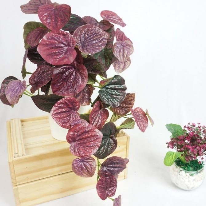 Peperomia Caperata Tanaman Gantung / Tanaman Artificial / Tanaman Hias