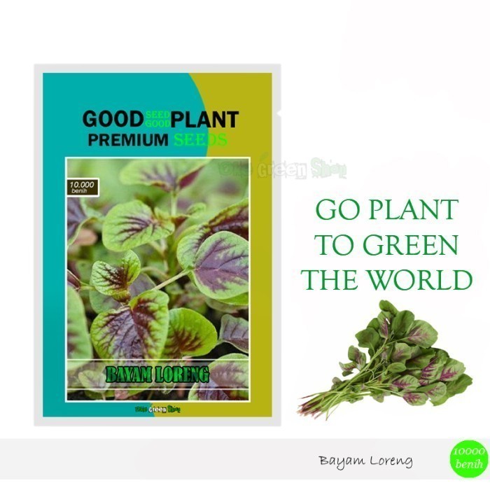 SALE BAYAM GREEN RED - BAYAM LORENG ISI 10.000 BUTIR - BAYAM INDAH N LEZAT