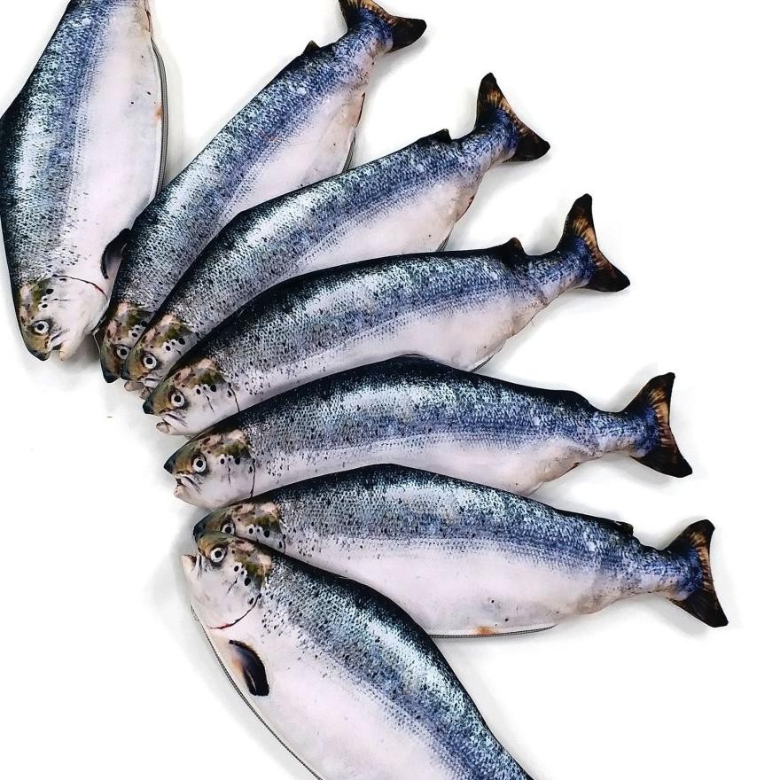 

Tempat Pensil Salmon untuk yang hobby mancing dan ikan bergizi