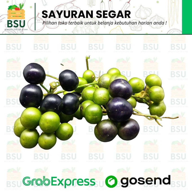 

Sayuran Segar Bandung - Ranti / Leunca 250 gram