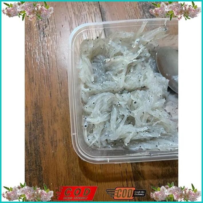 

BISMILLAH IKAN TERI NASI BASAH SEGAR TAWAR / FROZEN / COCOK UNTUK MPASI / TERI BASAH MPASI / IKAN FROZEN ALISUP