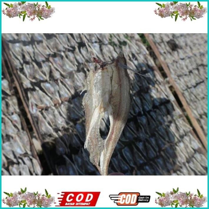 

BISMILLAH IKAN ASIN TIPIS TARAKAN 1KG TERMURAH ALISUP