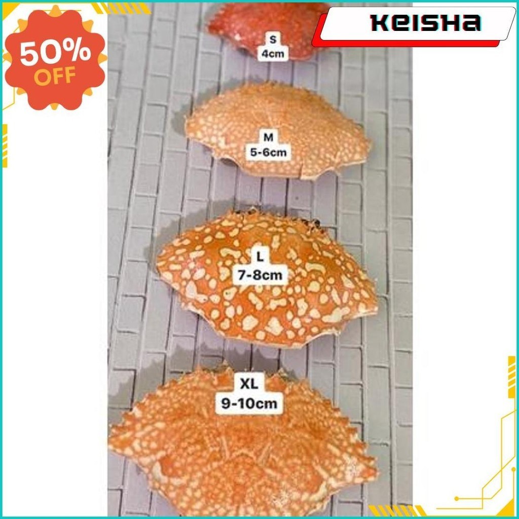 

Cemilan Kepiting Isi Gratis Ongkir