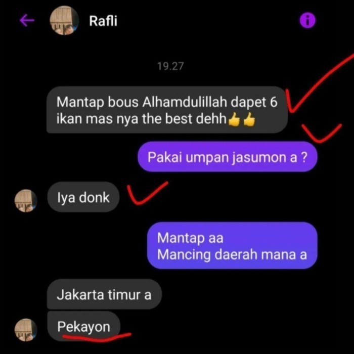 Paket Essen Jasumon Dan Umpan Jasumon Mister Bangkit