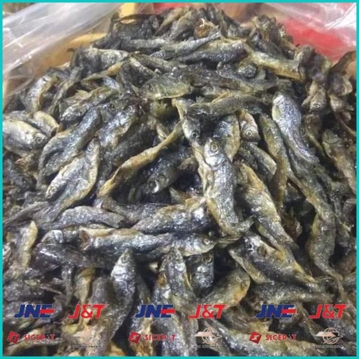 

BISMILLAH IKAN BILIH IKAN DANAU BILI TAWAR 250GR ALISUP