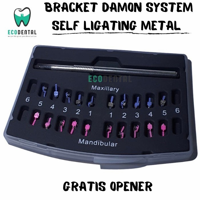 Bracket Damon System Self Ligating Behel Damon Terbaru