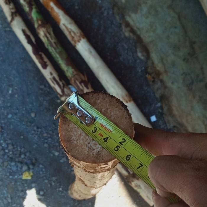 rotan batangan besar.pentungan rotan