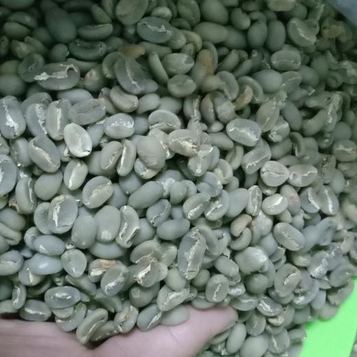

Green Bean / Biji Kopi Arabika Flores Bajawa Se Wash/Arabica Wethull