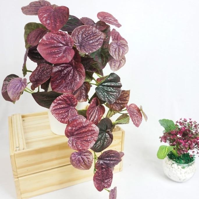 Peperomia Caperata Tanaman Gantung / Tanaman Artificial / Tanaman Hias