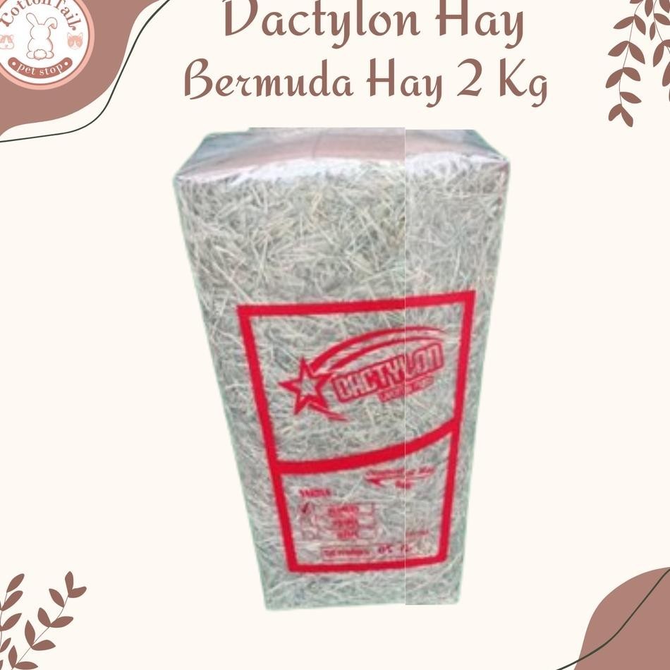 Dactylon Hay / Rumput Kering Bermuda Pakan Kelinci & Cavy 2Kg