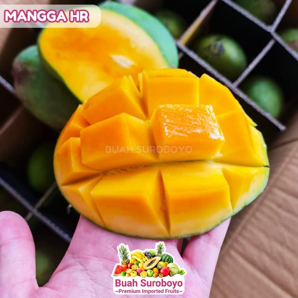 

New Arival Mangga Gadung/Mangga Harum Manis Viral