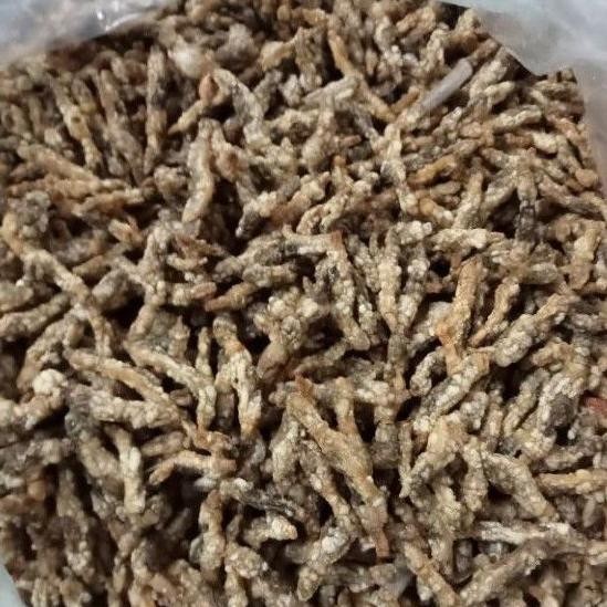 

uk-75 Lorjuk Goreng Siap Saji / Kerang Bambu (100 gram) Viral