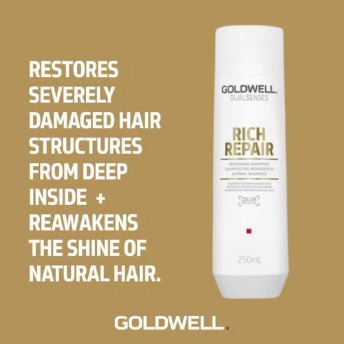 Goldwell Dualsenses Rich Repair Shampoo 250ml