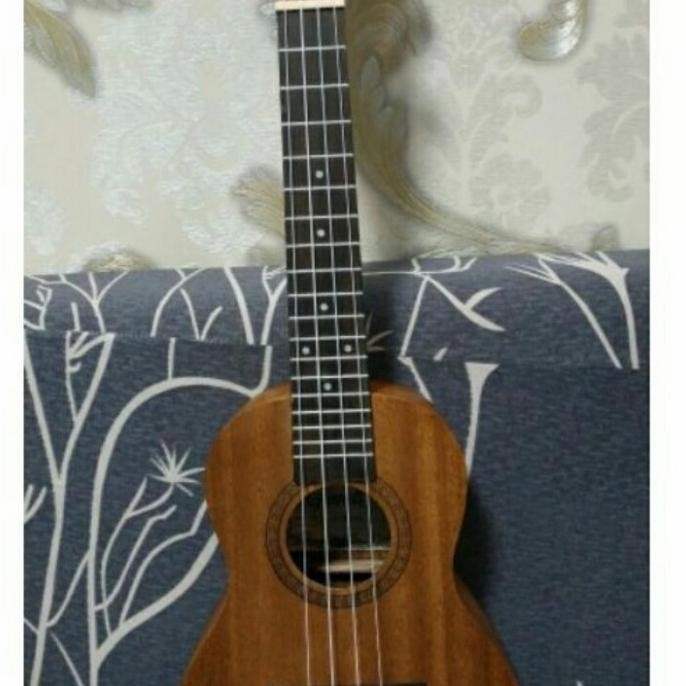 Ukulele 23 " Type Concert Merk Grande ( Best Product. Best Price )