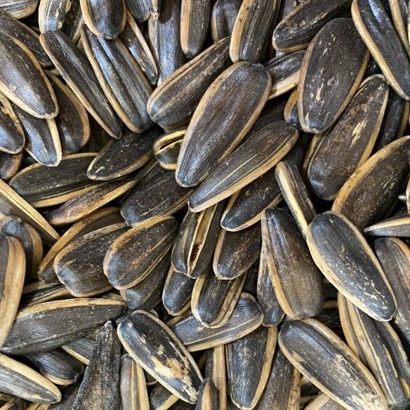 

Kuaci Matahari 1Kg 1.000Grm