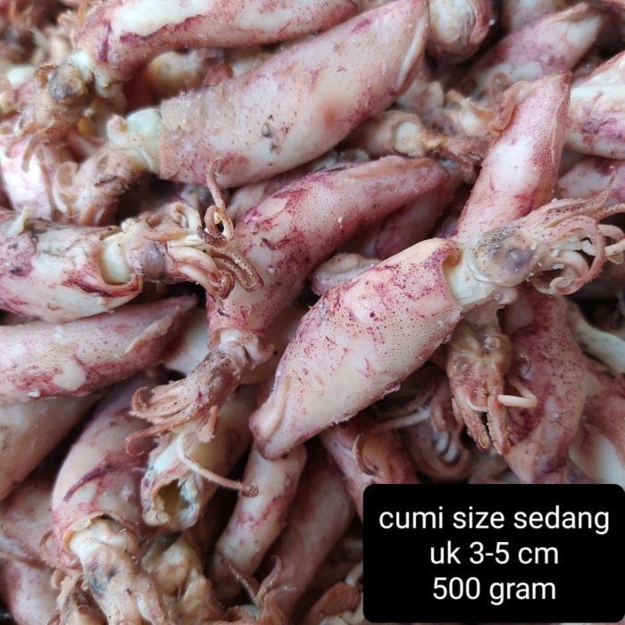 

Cumi asin rebus size sedang 500 gram A9