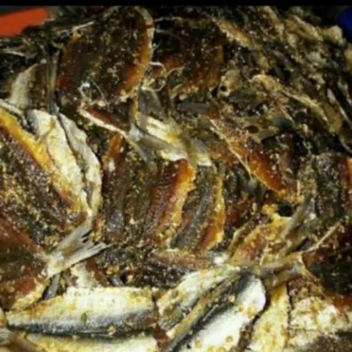 

RRF IKAN ASIN DENDENG MANIS 1 KG SLT A9