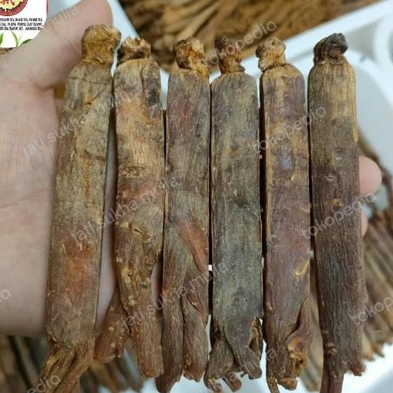 Grade Gao Li Shen Red Ginseng / Ginseng Merah / Korea Ginseng