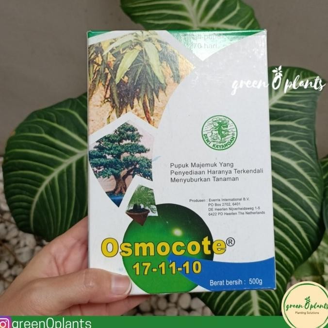 Pupuk Dekastar Slow Release Osmocote 17 - 11 - 10 500gr