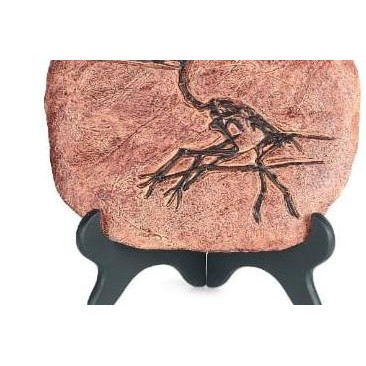 Mainan Dinosaurus / Figure Dinosaurus / Fosil Dinosaurus