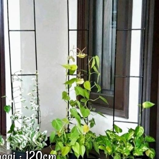 Standing Besi Pohon Rambat / Rak Pot Tanaman Besi Rambat Tinggi 120Cm