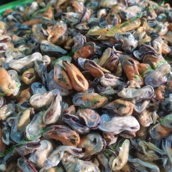 

Kerang Hijau Kupas / 250 gram