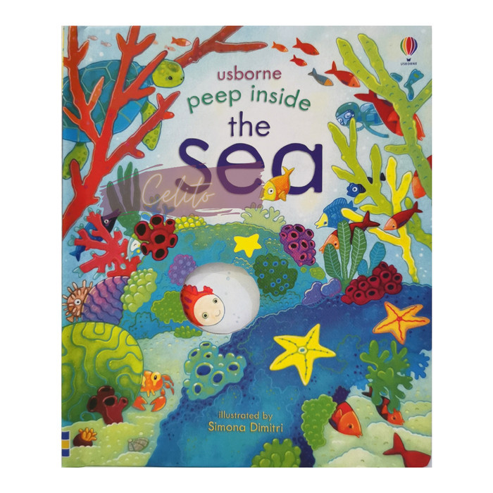 

Bana Buku Anak Usborne Peep Inside The Sea Book Peek Inside