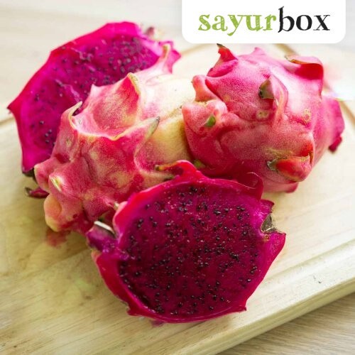 

Buah Naga Merah Konvensional 1 pcs Sayurbox