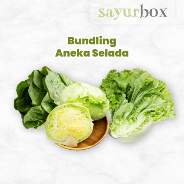 

Bundling Aneka Selada Konvensional 1 pack Sayurbox
