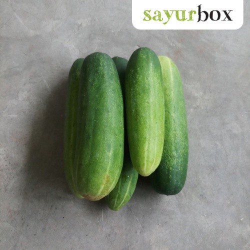 

Timun Baby Konvensional 500 gram Sayurbox