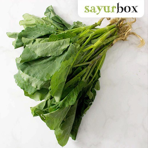 

Kailan Organik Organik 250 gram Sayurbox