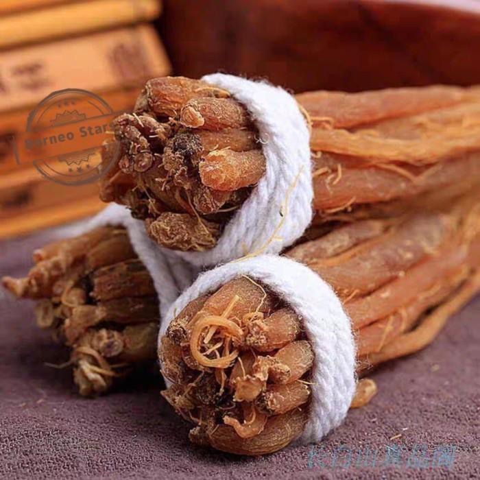 

Ready Akar Ginseng Merah Korea Jilin 50 Gram