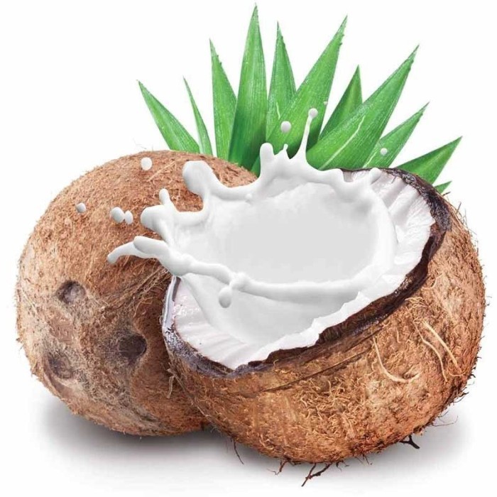 

1oz FW Creamy Coconut