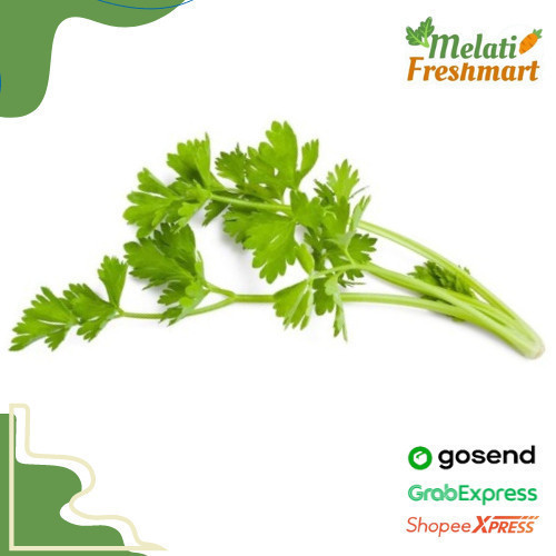 

Seledri / Sledri 100 gr / gram - Melati Freshmart