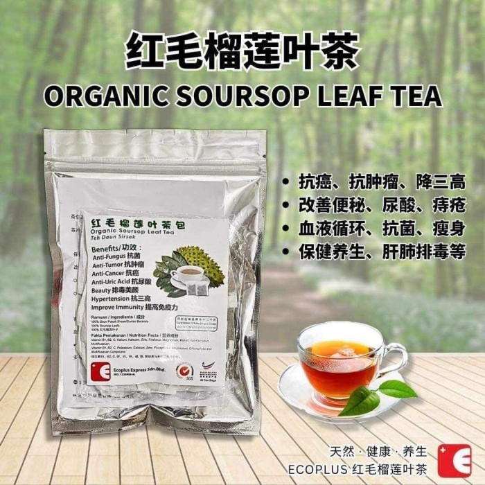 

Terlaris Organic Soursop Leaf Tea 30 Tea Bags Teh Daun Sirsak