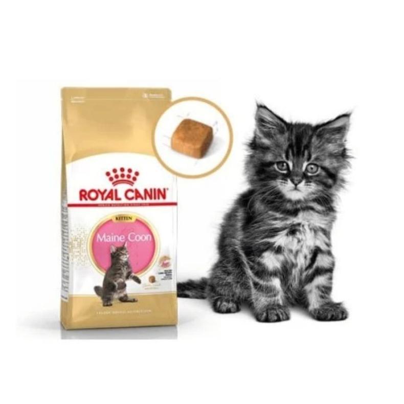Diskon Royal Canin Kitten Mainecoon 400Gr Freshpack Makanan Anak Kucing Mainecoon