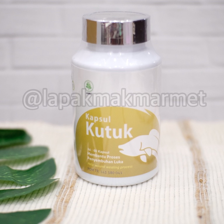 SIAP KIRIM Kapsul Kutuk/Kapsul Ikan Gabus Premium