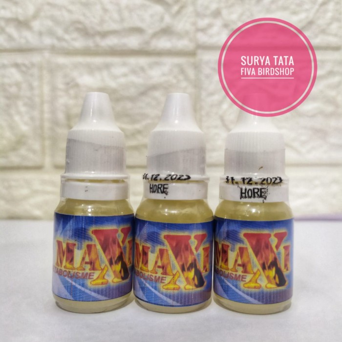 MAXI Metabolisme dosis tinggi untuk burung mengatasi macet bunyi