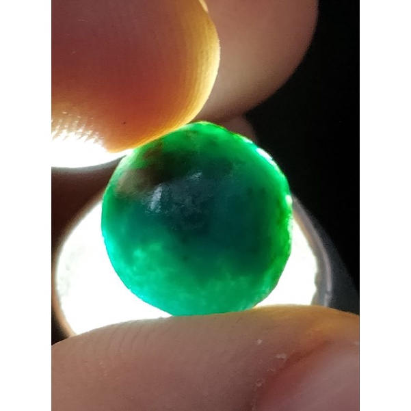 Bacan doko majiko bluish coklat